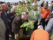 بالفيديو.. محافظ كفر الشيخ يزرع أول شجرة ضمن مشروع المليون شجرة بالمحافظة