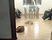 بالصور.. كلاب "ضالة" فى عزاء امرأة مكسيكية حزنا عليها