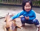 طفلة صينية تبكى على كلبها بعد عثورها عليه معدّا كوجبة شهية للعشاء