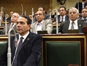 النائب أيمن أبو العلا: البرلمان فشل حاليا فى سن تشريع يجرم الختان