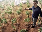 علماء ينجحون فى زراعة محاصيل على تربة تحاكى سطح المريخ والقمر