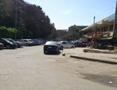 صحافة المواطن.. سقوط شجرة يغلق شارع "الشطر السابع" فى صقر قريش