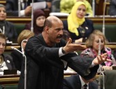 برلماني تعليقا على حملة "خليها تعنس": لها وقع سلبى على الفتاة المصرية