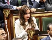 مطالب برلمانية بالتصدى للكيانات الوهمية عبر مواقع التواصل الاجتماعى