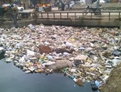 صحافة المواطن: بالصور.. حيوانات نافقة وقمامة فى ترعة فرشوط بقنا
