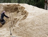 البيئة: تحويل 11 ألف طن قش أرز بالغربية وكفر الشيخ لسماد عضوى وأعلاف