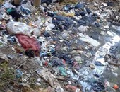 صحافة المواطن.. بالصور.. القمامة والقاذورات تملأ ترعة داخل كتلة سكنية بقرية فى الدقهلية
