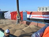 ميناء دمياط يستقبل ١٣سفينة حاويات وبضائع خلال ٢٤ساعة
