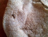 صحافة المواطن: قارئ يعثر على حشرة داخل رغيف الخبز فى المنوفية