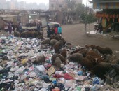 بالصور.. انتشار القمامة أسفل الطريق الدائرى بـ"سلم الفيلا"