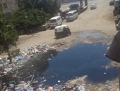 صحافة المواطن: بالصور..انتشار القمامة أمام مدخل مستشفى العامرية بالإسكندرية