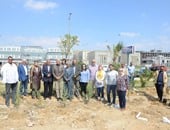 المجتمعات العمرانية تحتفل باليوم العالمى للغابات بزراعة 70 شجرة فى 6 أكتوبر