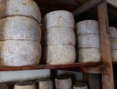 ضبط مدير مصنع لإنتاج الألبان بحوزته أطنان من الجبن الرومى الفاسد بالجيزة