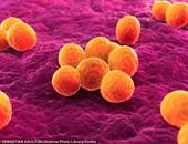 الصحة العالمية تحذر من قدرة البكتيريا على مقاومة المضادات الحيوية