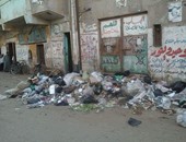 صحافة المواطن.. بالصور.. تراكم القمامة والمخلفات بشوارع قرية دنديط فى الدقهلية