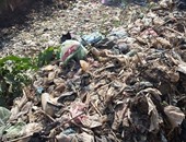 قارئ يشكو من غياب الأطباء بمستشفى قرية شنشور بالمنوفية وانتشار القمامة