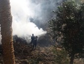 السيطرة على حريق محدود فى زراعات الهيش خلف مستشفى حميات أسوان
