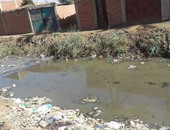 "صحافة المواطن": بالفيديو.. القمامة تنشر الأمراض بدنديط الدقهلية