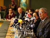 عمرو موسى: لا نبحث عن زعامة و"حماية الدستور" هدفها استقرار البلاد