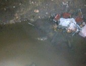 صحافة المواطن.. شكوى من انفجار ماسورة مياه فى أبو النمرس منذ 3 أيام