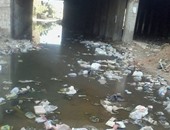 صحافة المواطن.. بالصور: مياه الصرف الصحى تغطى "ملقة الفول" و"رشاح عنانى" بالمرج