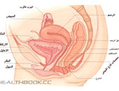 التدخل الجراحى بالمنظار آخر حل للتخلص من الحمل خارج الرحم