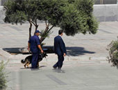 خبراء المفرقعات يبطلون مفعول عبوة بدائية الصنع أمام مركز شرطة بلبيس