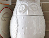 "البومة" من رمز للتشاؤم إلى إكسسوارات البنات وديكور المنزل