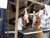 بالصور.. افتتاح أول منفذ ثابت لبيع اللحوم المدعمة بحى غرب الإسكندرية
