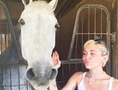 مايلى سايروس تنشر صورتها بجوار حصان على "إنستجرام"