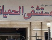"حميات أسوان" ترد على رفض المستشفى الجامعى استقبال مصاب أنفلونزا الخنازير