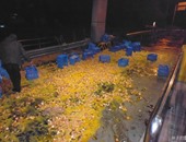 انقلاب شاحنة تحمل 100 صندوق بيض على طريق سريع فى الصين