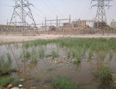 بالصور.. مياه الصرف تزحف لمحطة كهرباء السيل بأسوان وتهدد حياة المواطنين