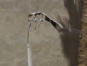 تآكل عمود كهرباء بمدرسة تعليم أساسى فى كفر الشيخ يهدد التلاميذ بالموت