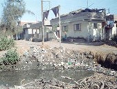 بالصور ..قرية الفتح فى المنصورة لا تجد ماء للرى بسبب تجمعات ورد النيل