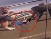 بالفيديو.. أسترالى يعثر على عنكبوت ضخم بمقبض سيارته.. فتش عربيتك الأول