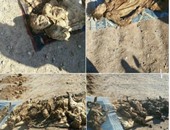 العثور على 3 جثامين بمقبرة واحدة فى بوروندي