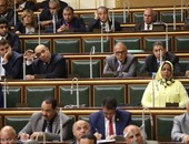 حسين أبو الوفا: لن ننتظر انتخابات اللجان لدراسة اتفاقيات مصر والسعودية