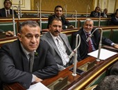 النائب نادر مصطفى يبدأ تعليقه على برنامج الحكومة بنعى "سيف اليزل"