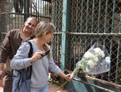 بالصور.. ناشطة تقدم العزاء لعائلة الشمبانزى "بوبو" بالورود فى حديقة الحيوان