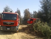 5 سيارات إطفاء للسيطرة على حريق التهم 15 فدانا فى سوهاج