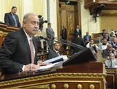 الحكومة: مشروعات خدمية وتنموية جاهزة للافتتاح فى ذكرى تحرير سيناء