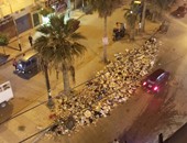 صحافة المواطن.. بالصور.. شارع العسل يغرق فى تجمعات القمامة بالإسكندرية