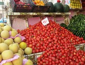 تموين الإسكندرية تضبط 172 طن خضروات قبل بيعها خارج أسواق الجملة