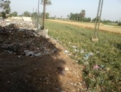 صحافة المواطن.. أهالى قرية سندبيس بالقليوبية يشتكون من انتشار القمامة فى الأراضى الزراعية