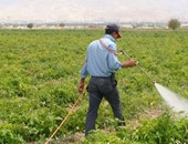 ​ "الزراعة": خطة لتوعية المزارع بالأثار السلبية للتغيرات المناخية بالصعيد
