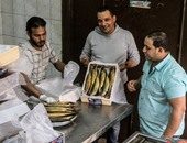 تصنيع «الرنجة» فى مصر