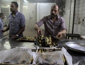 بالفيديو والصور..تعرف على أسرار مذهلة لتصنيع «الرنجة» فى مصر