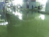 بالصور.. مياه الصرف الصحى تغرق شارع أبوزيد بدر فى فيصل