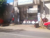 المعهد الفنى الصحى فى الإسكندرية يسمح بتربية المواشى على أبوابه